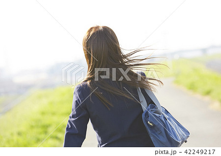 女子高生 通学 女子高生 通学 42249217