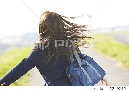 女子高生 通学 女子高生 通学 42249236