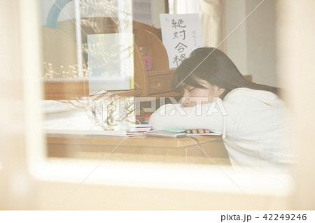 女子高生　勉強 42249246