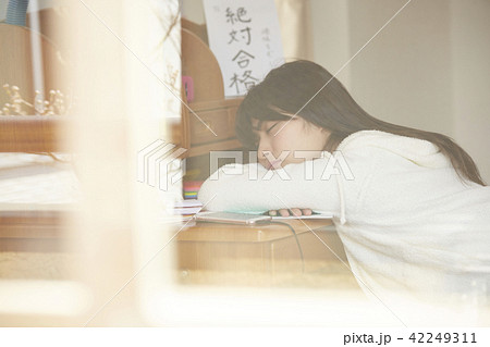 女子高生　勉強 42249311