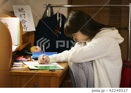 女子高生　勉強 42249317