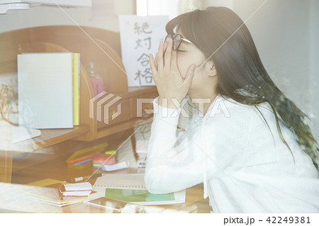 女子高生　勉強 42249381