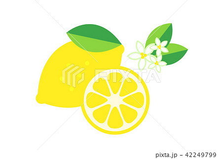 レモンのイラスト素材 42249799 Pixta