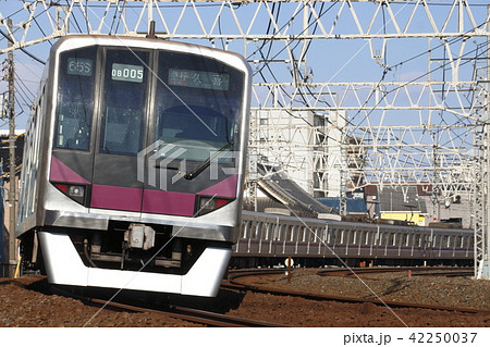 ［Z］東京地下鉄半蔵門線08系（東武伊勢崎線直通） 42250037