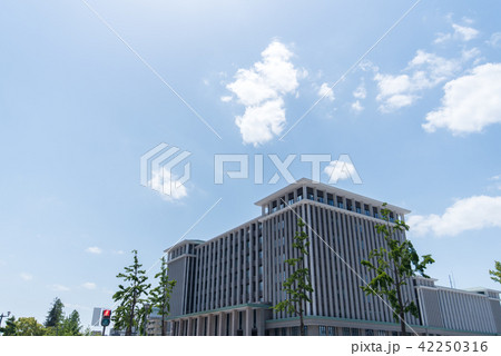 呉市役所(新庁舎) くれ絆ホール 呉市役所(新庁舎) くれ絆ホール 42250316