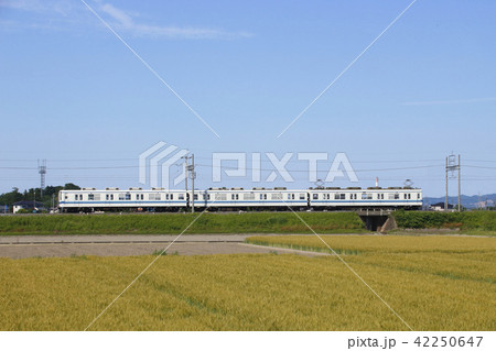 東武伊勢崎線800系（末端区間） 42250647