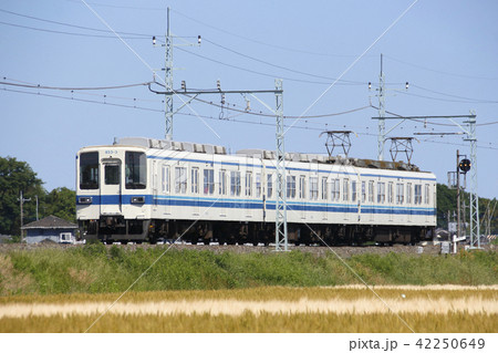 東武伊勢崎線800系(末端区間) 東武伊勢崎線800系(末端区間) 42250649