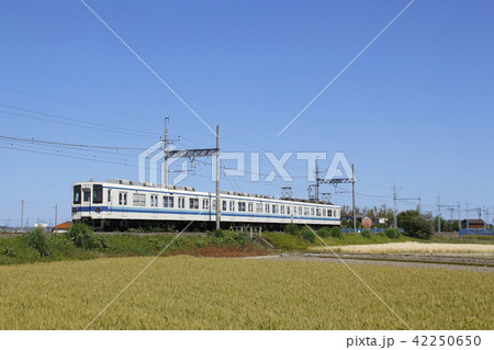 東武伊勢崎線800系（末端区間） 42250650