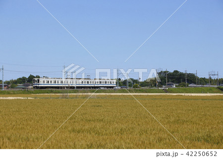 東武伊勢崎線800系（末端区間） 42250652