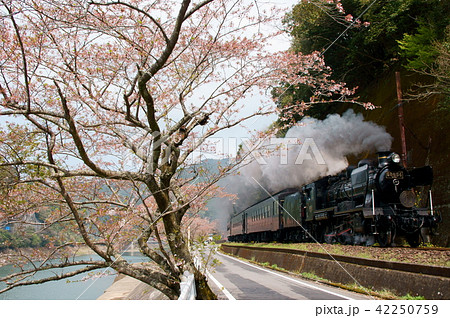 葉桜の肥薩線を行く「SL人吉」（8620型蒸気機関車+50系改造客車） 42250759