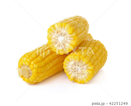 corn on white background 42251249