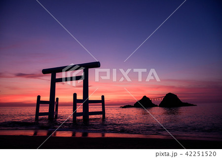 二見ヶ浦の夕景 42251520