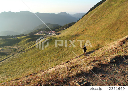 曽爾高原 曽爾高原 42251669