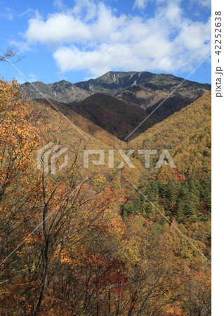 西沢渓谷　紅葉 42252638