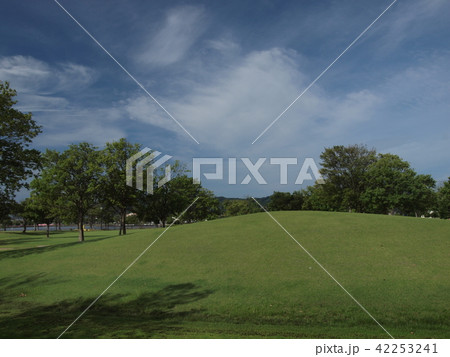公園 公園 42253241
