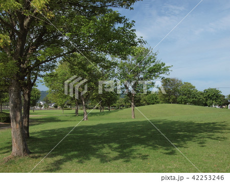 公園 公園 42253246