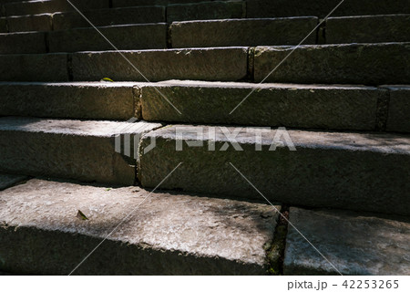 木漏れ日が差す仙波東照宮の石段 木漏れ日が差す仙波東照宮の石段 42253265