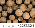 Wood log pile background for lumber industry 42253324