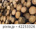 Wood log texture of wooden tree trunks 42253326