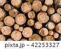 Wood log pile background for lumber industry 42253327