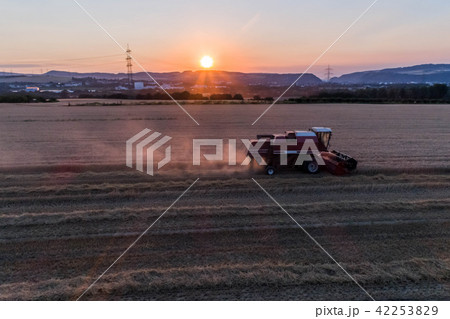 Aerial view of combine harvester harvesting an oats crop at sunset Aerial view of combine harvester harvesting an oats crop at sunset 42253829