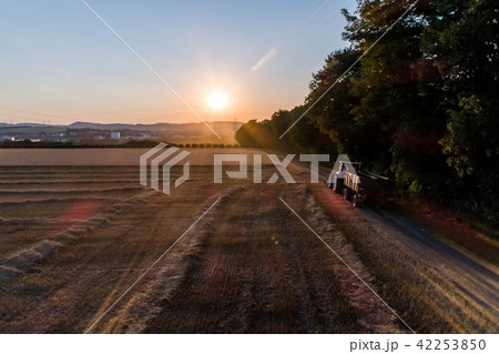 Aerial view of combine harvester harvesting an oats crop at sunset Aerial view of combine harvester harvesting an oats crop at sunset 42253850