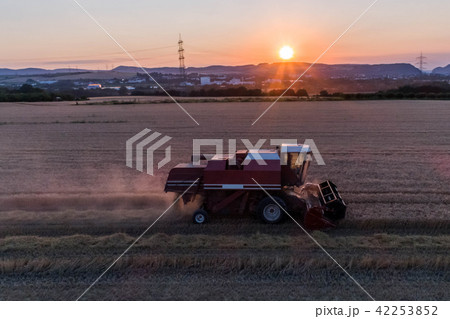 Aerial view of combine harvester harvesting an oats crop at sunset Aerial view of combine harvester harvesting an oats crop at sunset 42253852
