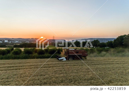 Aerial view of combine harvester harvesting an oats crop at sunset Aerial view of combine harvester harvesting an oats crop at sunset 42253859