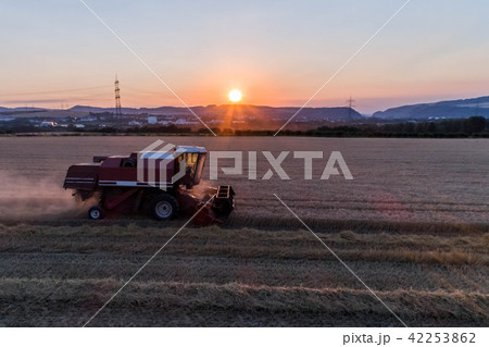 Aerial view of combine harvester harvesting an oats crop at sunset Aerial view of combine harvester harvesting an oats crop at sunset 42253862