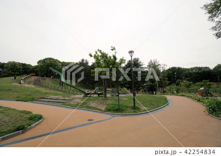 月寒公園　月寒の丘ロング滑り台　 42254834