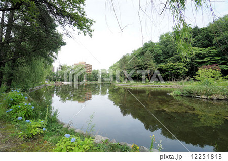 月寒公園　ボート池周辺風景 42254843