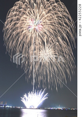 横浜スパークリングトワイライト2018 打ち上げ花火スターマイン 横浜スパークリングトワイライト2018 打ち上げ花火スターマイン 42255228