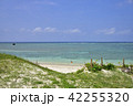 八重山の美しい海 42255320