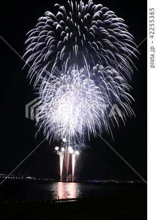 横浜スパークリングトワイライト2018 打ち上げ花火スターマイン 横浜スパークリングトワイライト2018 打ち上げ花火スターマイン 42255365