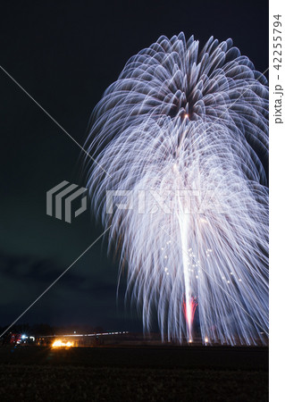 うねめの里冬花火 うねめの里冬花火 42255794