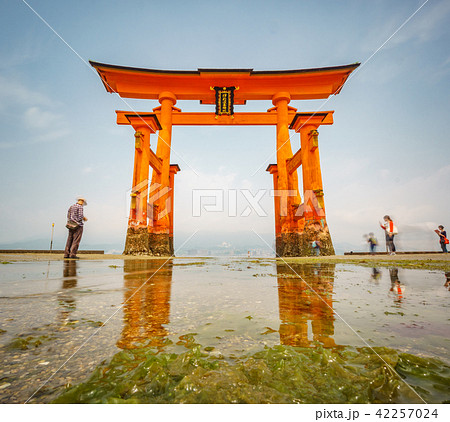Impressive Floating Torii gate with blurred tourists, low tide with reflection. 42257024