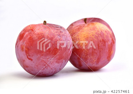 スモモ（貴陽） 42257461