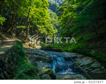 兵庫県の名瀑　猿尾滝 42257877
