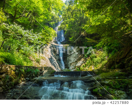 兵庫県の名瀑　猿尾滝 42257880
