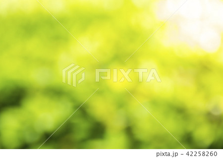 Natural green blurred background 42258260