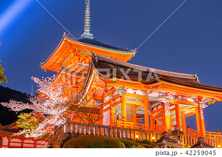 清水寺 三重塔と夜桜ライトアップ 京都府京都市東山区清水 作品コメント欄に撮影位置ありの写真素材