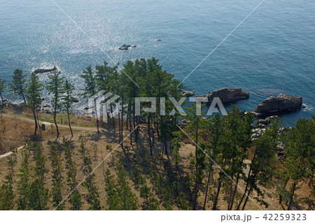 福井県坂井市 東尋坊タワー 荒磯遊歩道俯瞰 福井県坂井市 東尋坊タワー 荒磯遊歩道俯瞰 42259323