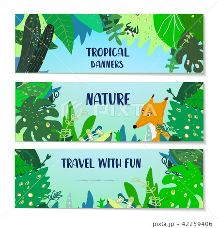 Tropical banners set illustration 42259406