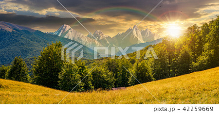 composite summer landscape in mountains at sunset 42259669