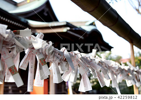 神社の境内で結ばれたおみくじ 神社の境内で結ばれたおみくじ 42259812
