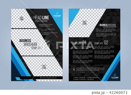 Black and Blue Business Brochure. 42260071