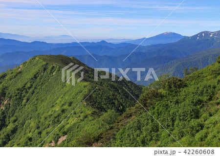霞沢岳から展望 42260608