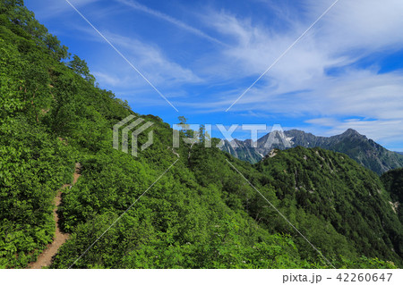 霞沢岳から望む穂高連峰 42260647