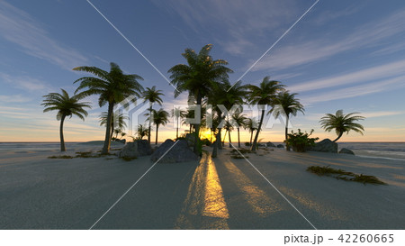 アイランド 42260665