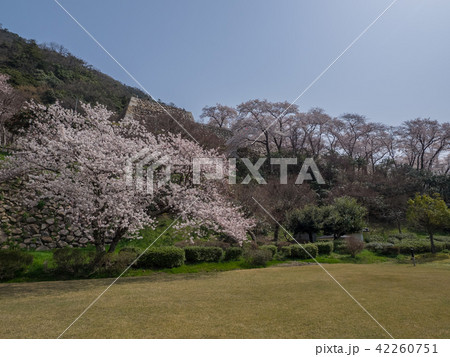 春は桜、秋は紅葉の名所として有名な歴史的建造物の仁風閣 映画のロケ地としても有名(るろうに剣心) 春は桜、秋は紅葉の名所として有名な歴史的建造物の仁風閣 映画のロケ地としても有名(るろうに剣心) 42260751